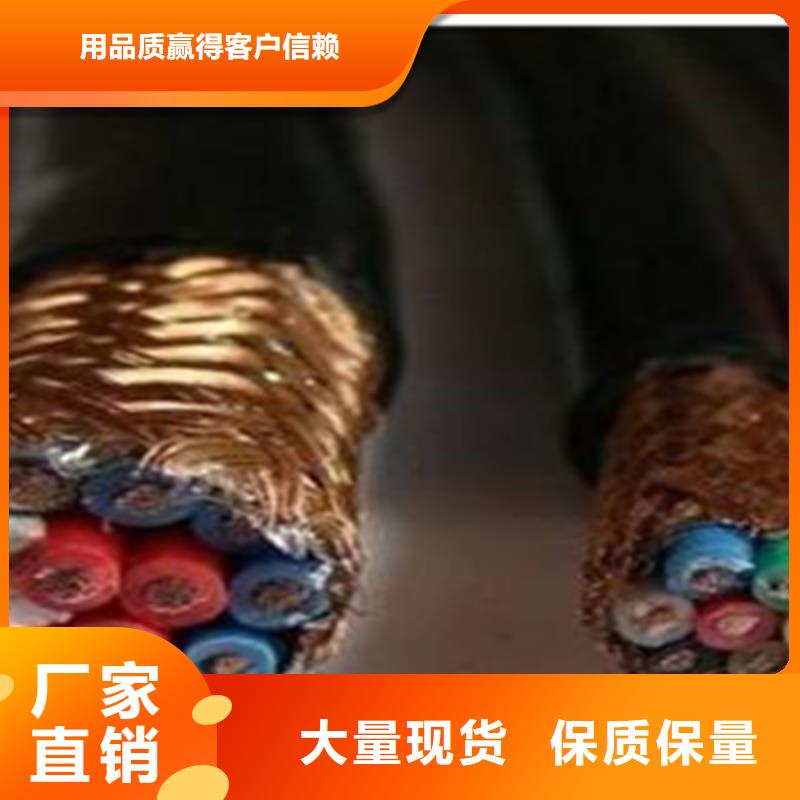 白沙县ZR-DJYJP2VP2-22阻燃计算机电缆3X0.75我们更专业