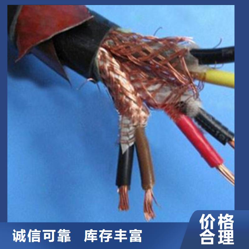 耐火计算机电缆NH-DJYJP2VP2-22非标定制品质可靠