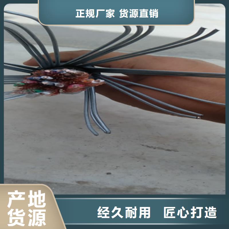 耐火计算机电缆NH-DJYJVP3-221X2X0.75精选优质材料