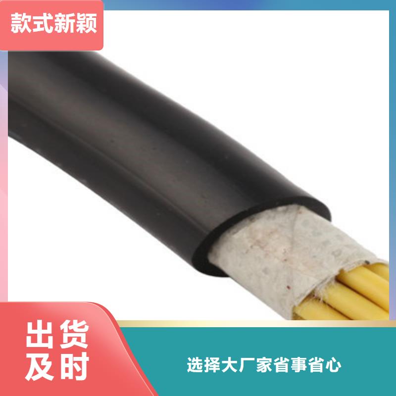 发货速度快的耐火网络通讯电缆NH-RVVP经销商同城生产商