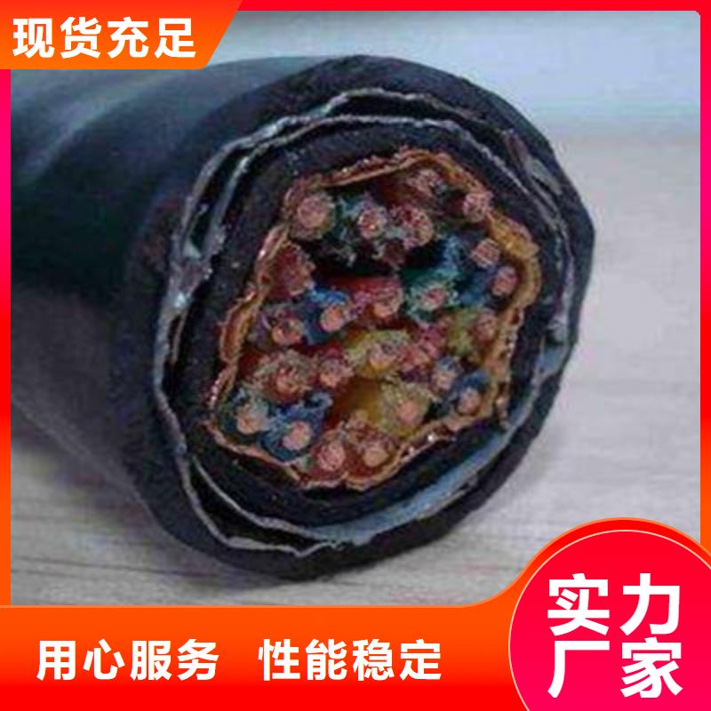 DJFP3FR耐高温计算机电缆3X2.5同城生产商