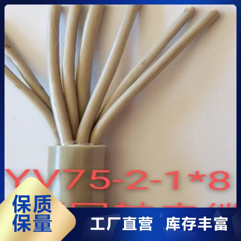 屏蔽射频电缆SYP-32厂家-规格全本地服务商