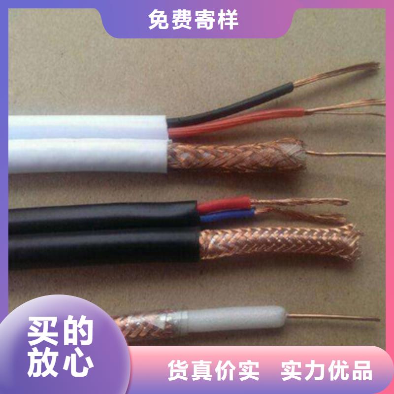 视频线SYV种类齐全当地服务商