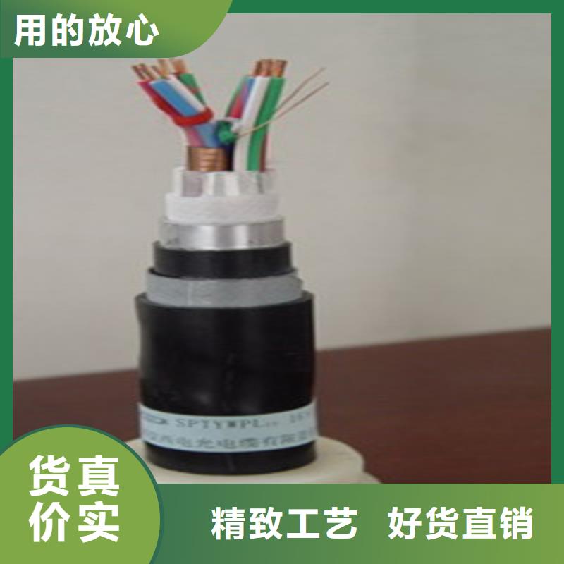 30芯信号电缆21芯放心得选择
