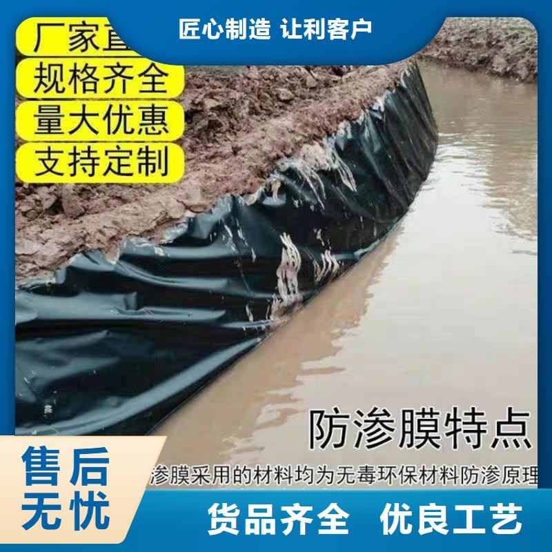 两布一膜土工膜施工行情真正让利给买家