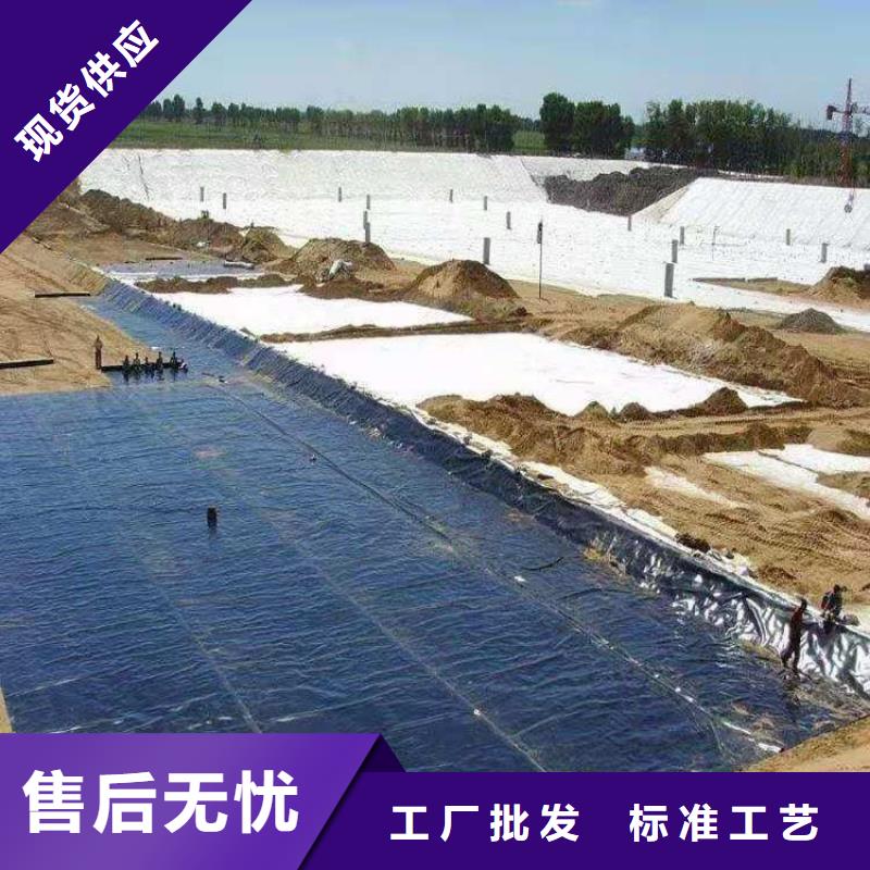 防渗土工膜价格行情资讯当地生产商