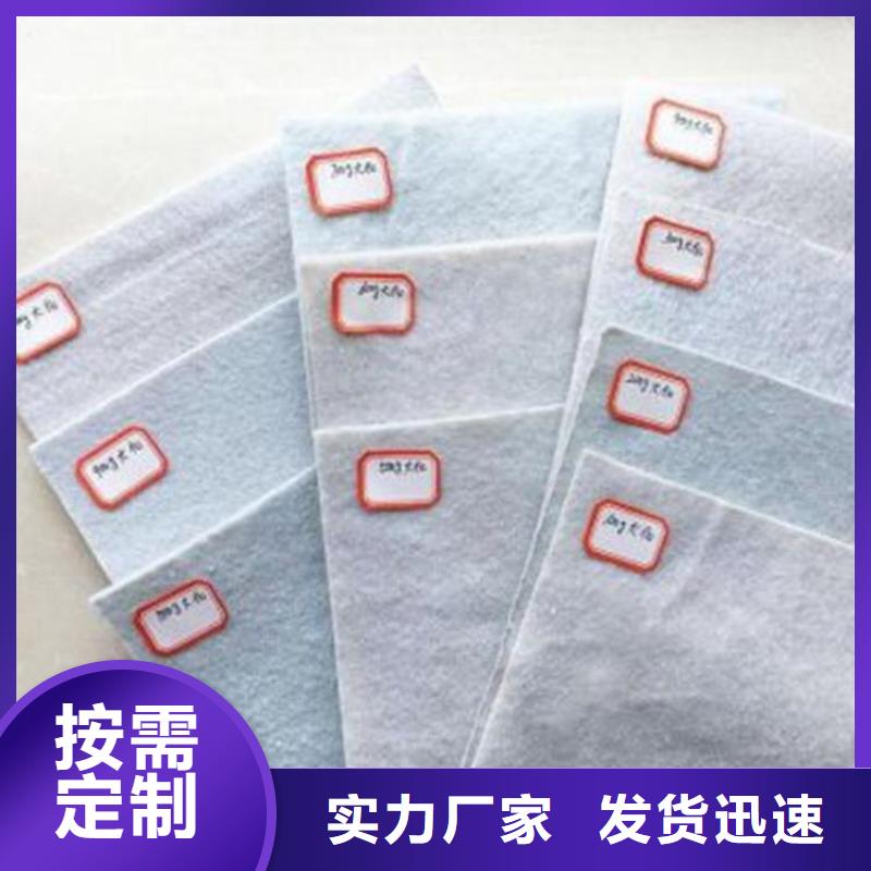 PET聚酯长丝土工布本地生产商