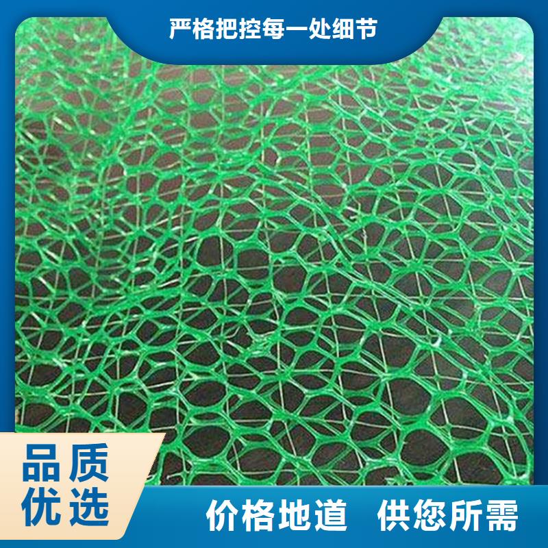 三维护坡植草网报价实在有实力有经验