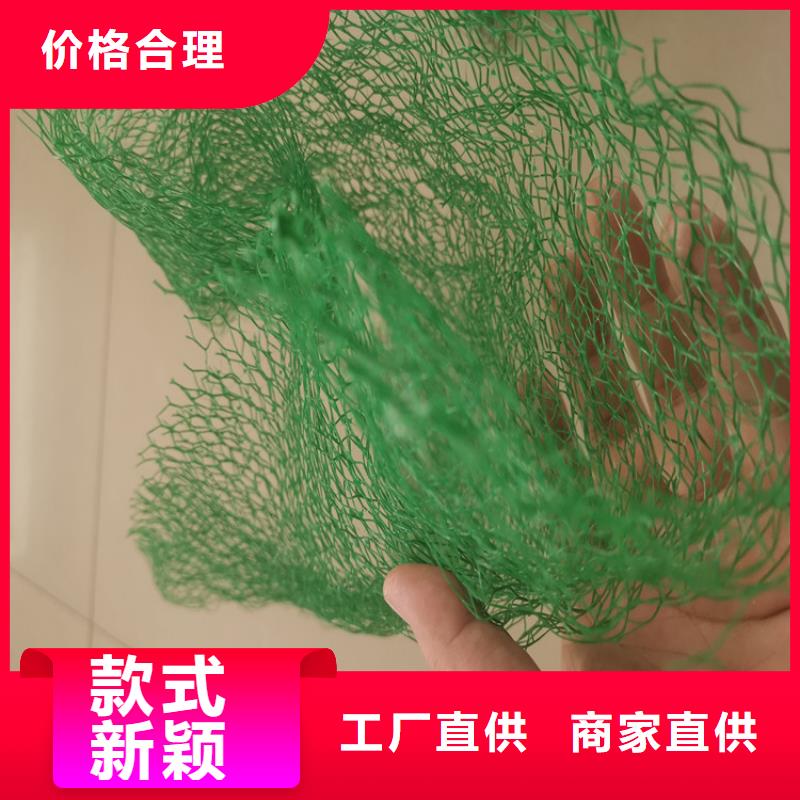 三维土工网垫诚信共赢同城供应商