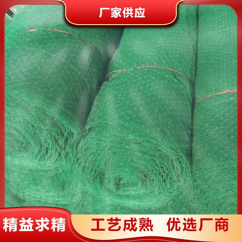 植草三维植被网量大从优