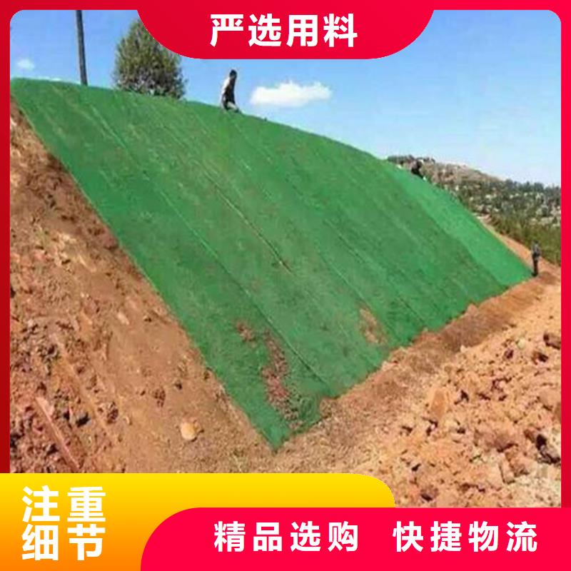 陵水县三维固土网垫生产厂家用的放心