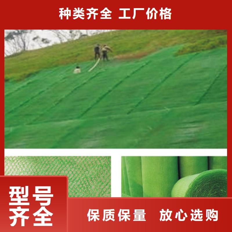定安县三维植被网厂家资讯打造好品质