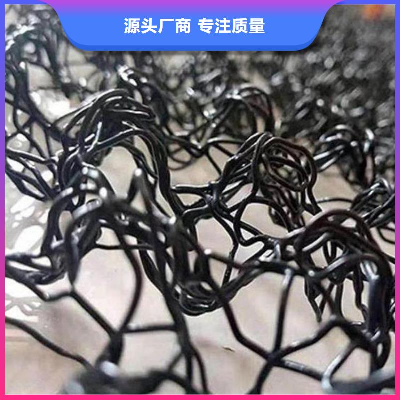 边坡绿化A20三维水土保护毯专心专注专业