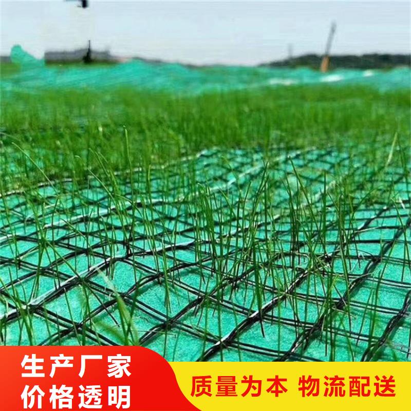 海南乐东县护坡植被植草毯专业按需定制