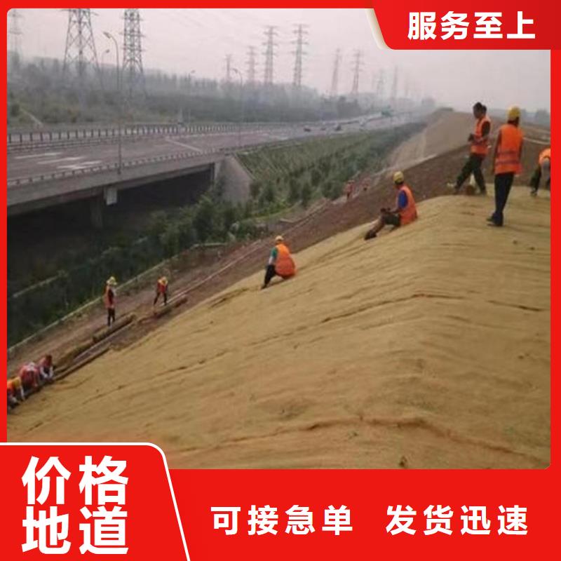 椰丝植生毯价格查询使用寿命长久