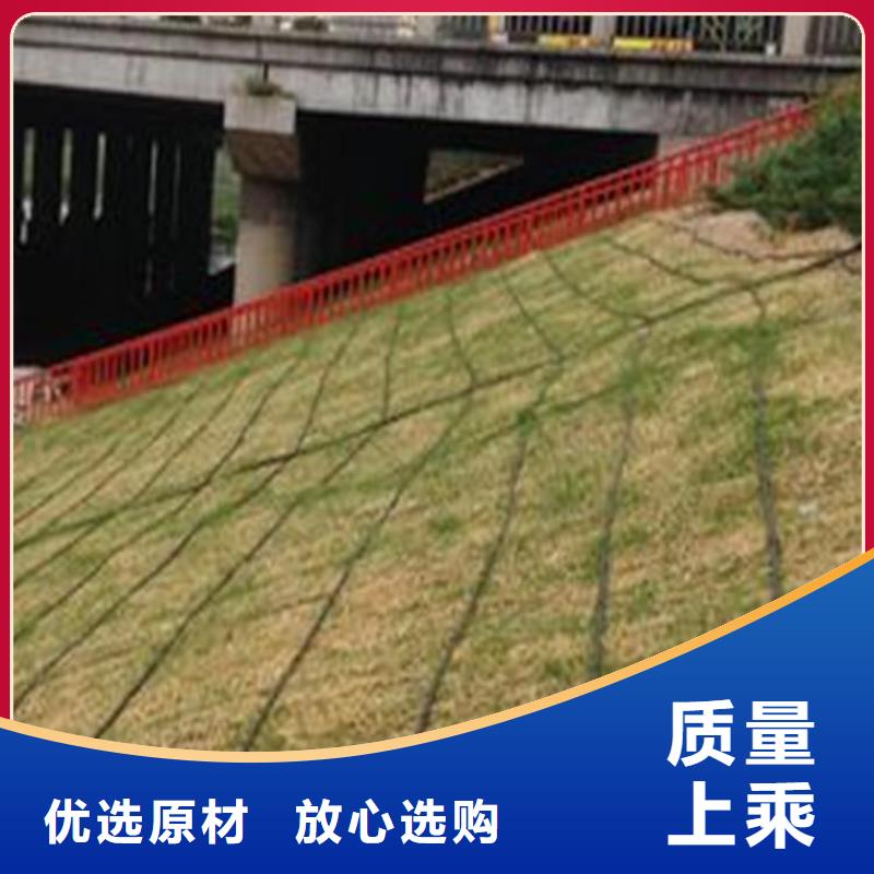 生态植物防护毯水保抗冲生物毯匠心工艺