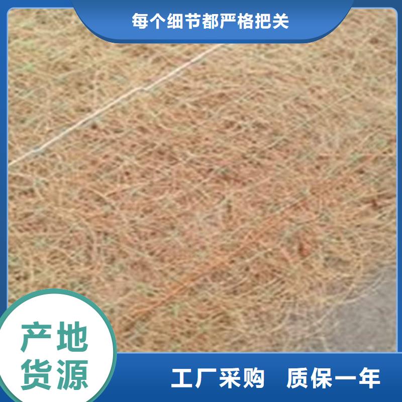 护坡植被植草毯护坡生态草毯专注生产N年
