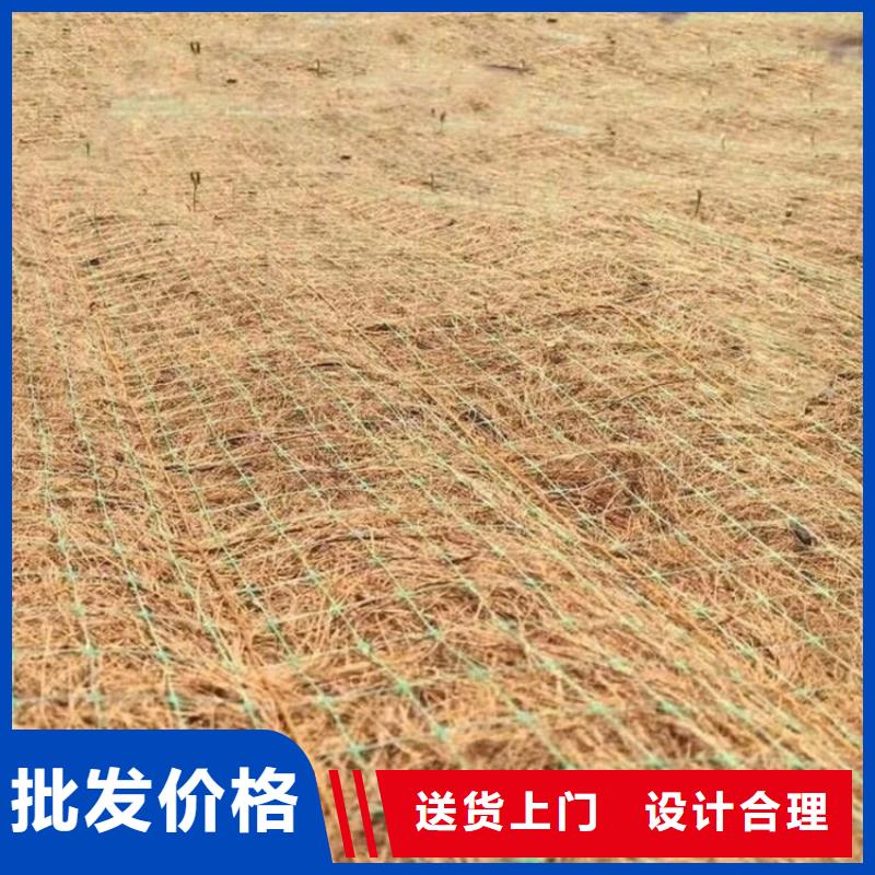 椰丝纤维毯自有厂家