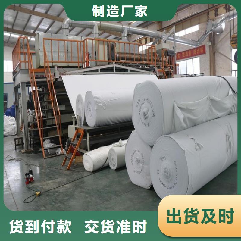 防渗编织土工布供您所需