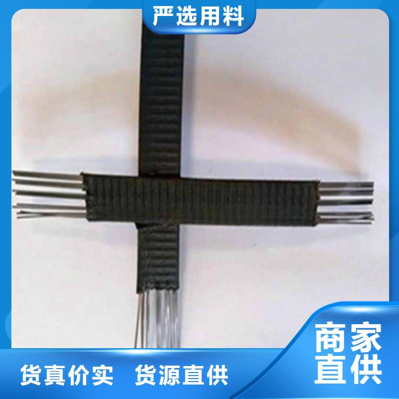 养殖聚丙烯土工格栅源头工厂量大优惠