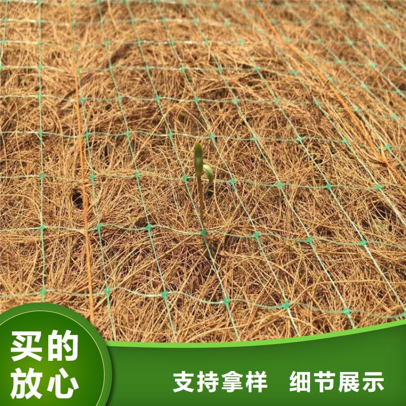 环保草毯椰丝植草毯品质无所畏惧