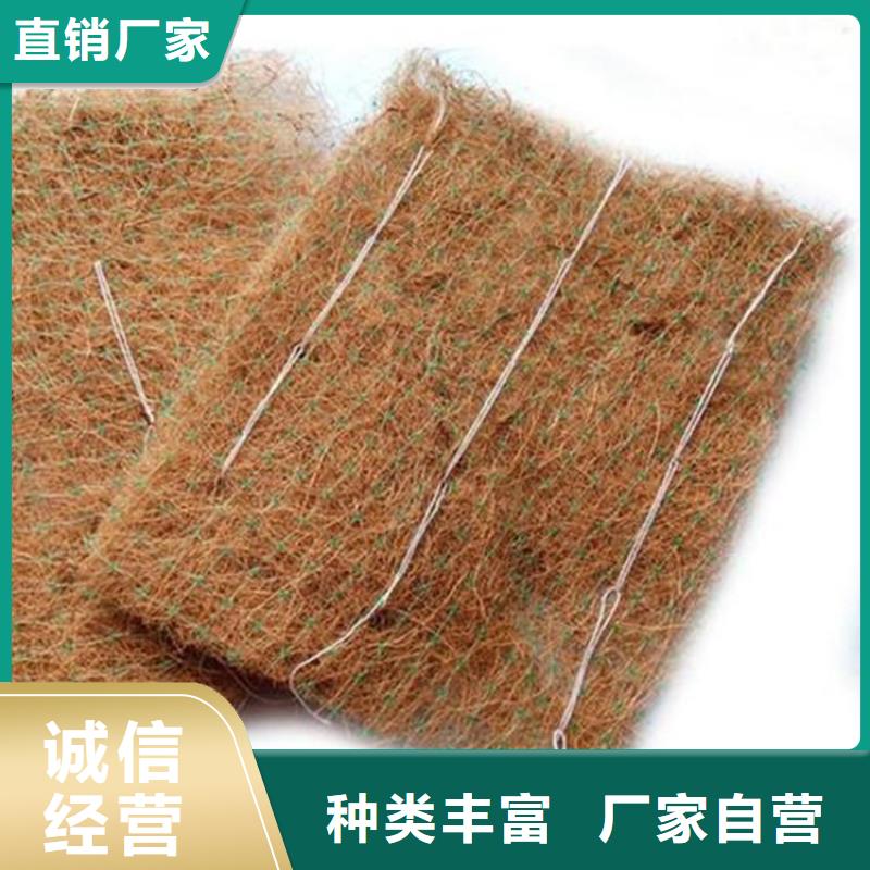水保植生毯本地生产厂家