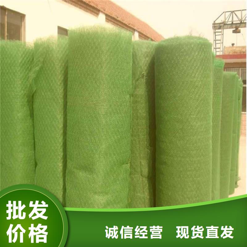 三维护坡植草网垫代理厂家当地服务商