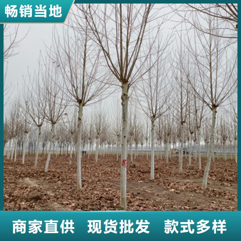 法桐实业厂家用心服务
