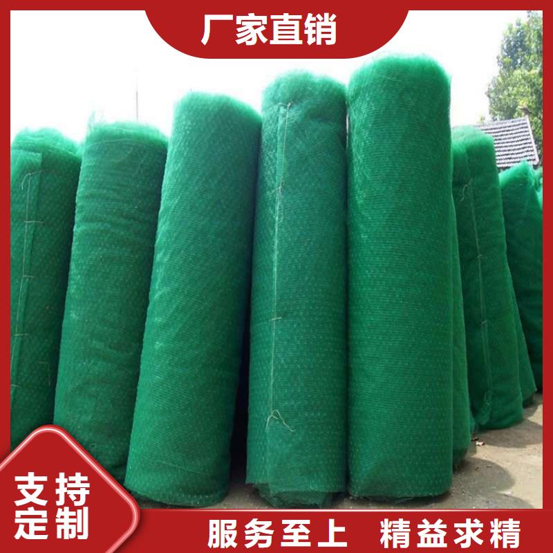 三维植被网-EM2三维植被网本地货源