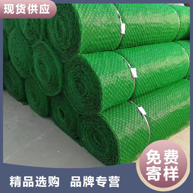 EM5三维护坡植草网垫特点厚度实力公司