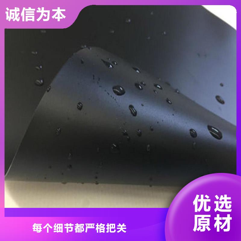 绿化-复合土工膜经销-哪里有卖的同城经销商