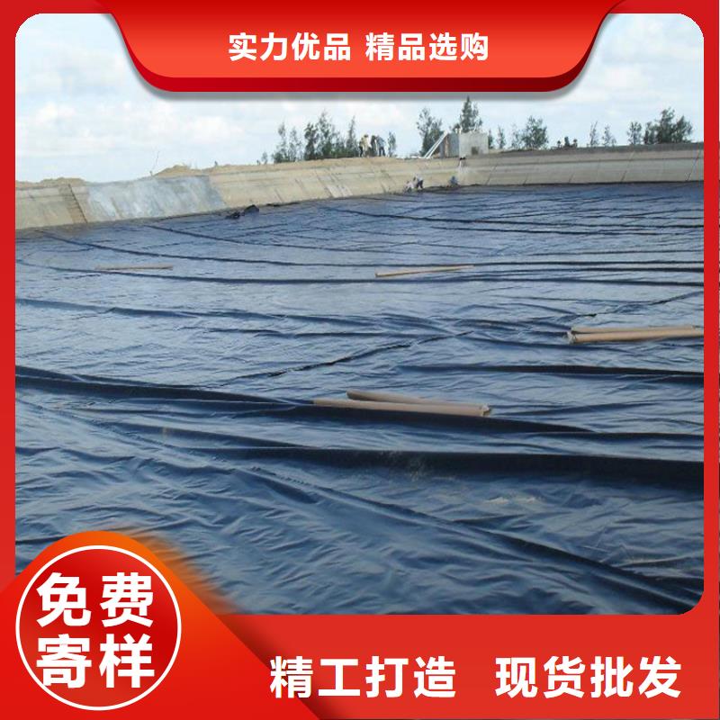 黑膜沼气池原理设计当地生产商