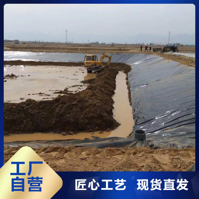 养猪厂防渗土工膜公司/哪里有卖的本地生产商
