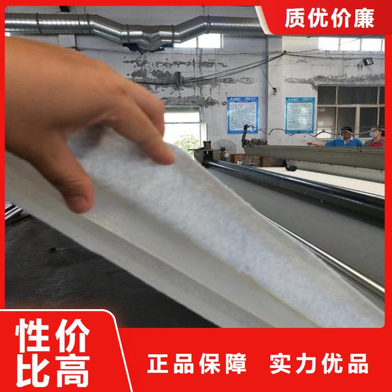 600g土工布_公司资讯已更新当地公司