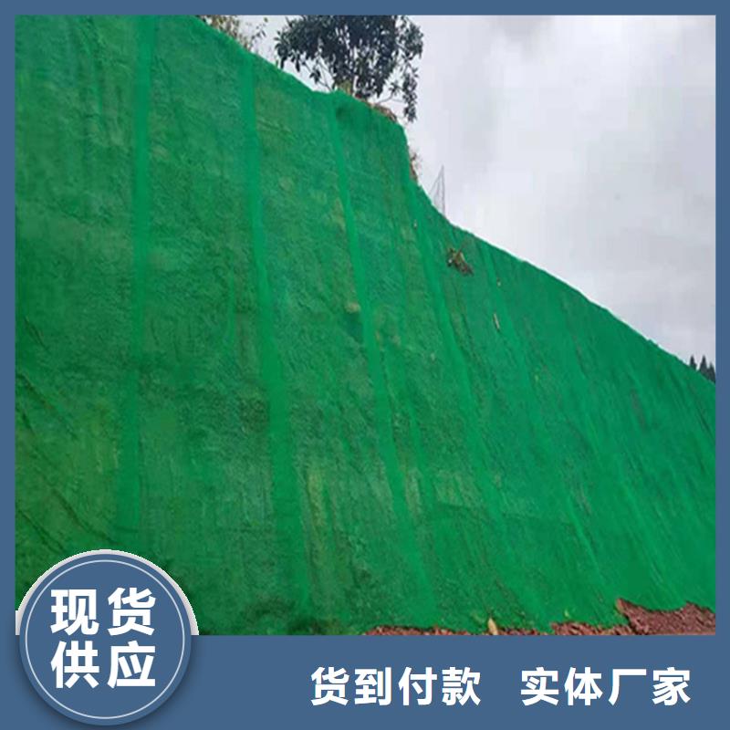 护坡加筋网垫-三维网植草护坡品质做服务
