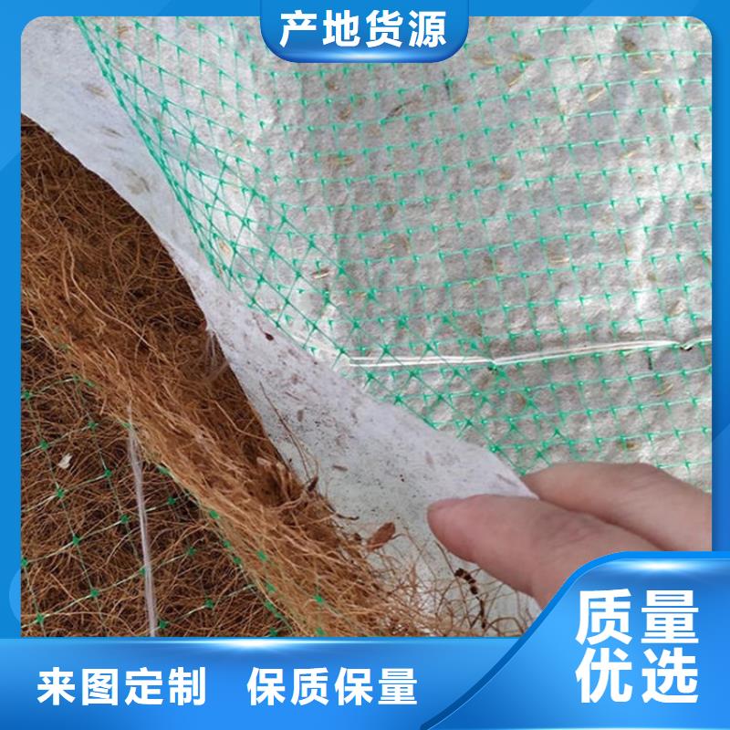 植生椰丝毯-加筋抗冲生物毯-绿化生态毯本地服务商