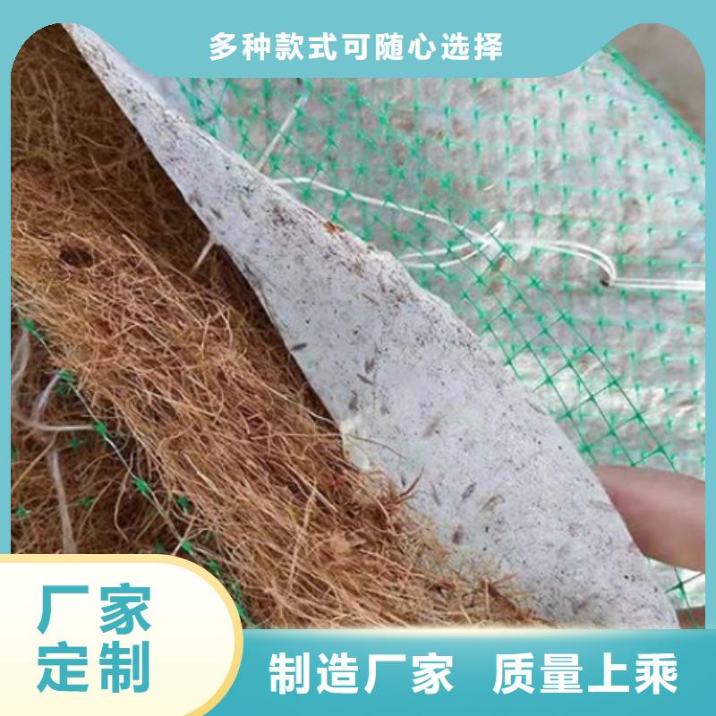 加筋抗冲生物毯-草种植生毯同城厂家