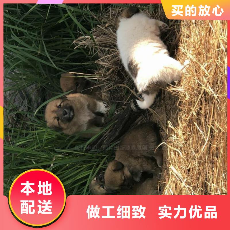 漳浦无醇烧火油成分信誉保证购买的是放心