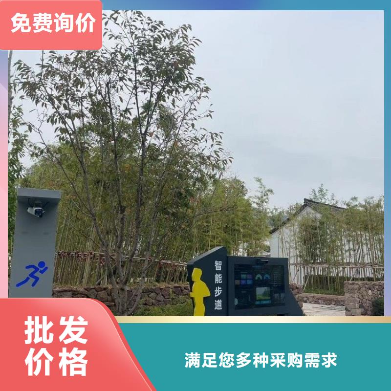 智慧健身步道价格（支持定制）款式多样