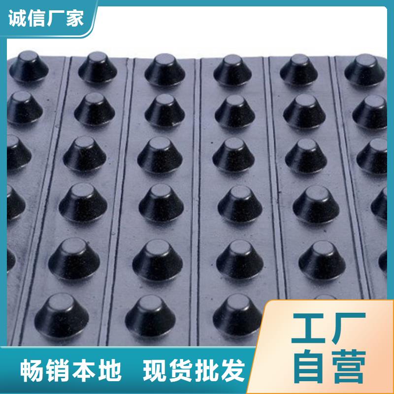 蓄排水板多钱同城生产商