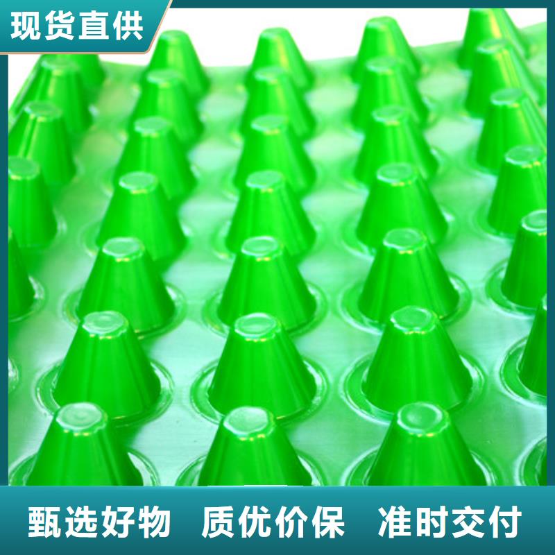 排水板型号全/价格低支持大批量采购