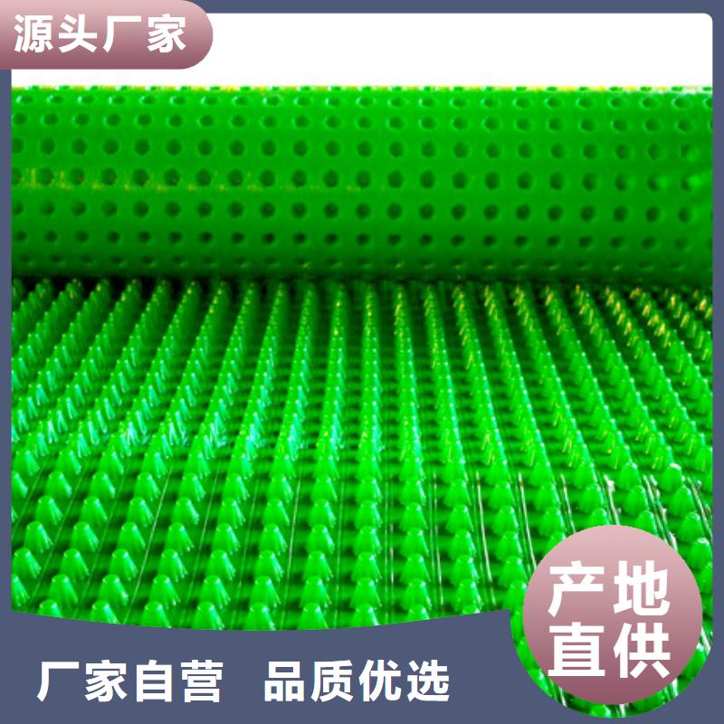 排水板价格公道当地经销商