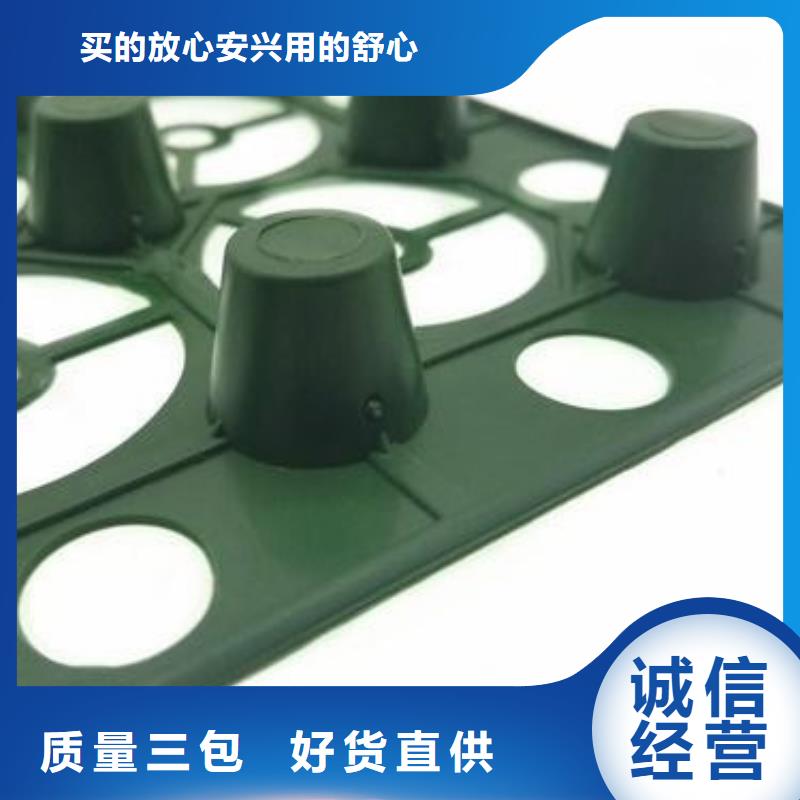 塑料排水板价格公道质优价保