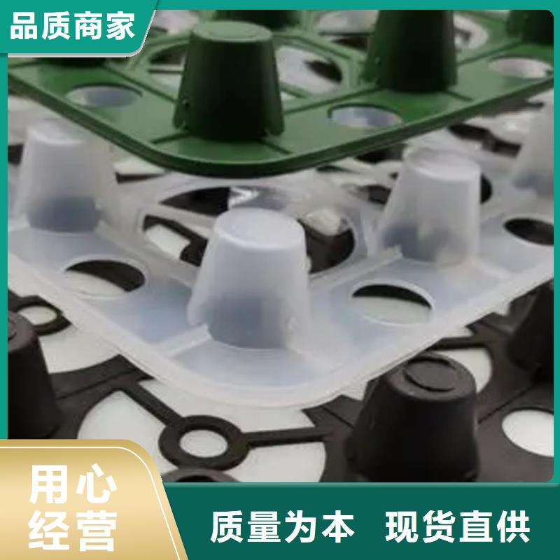 排水板厂家源头发货本地经销商