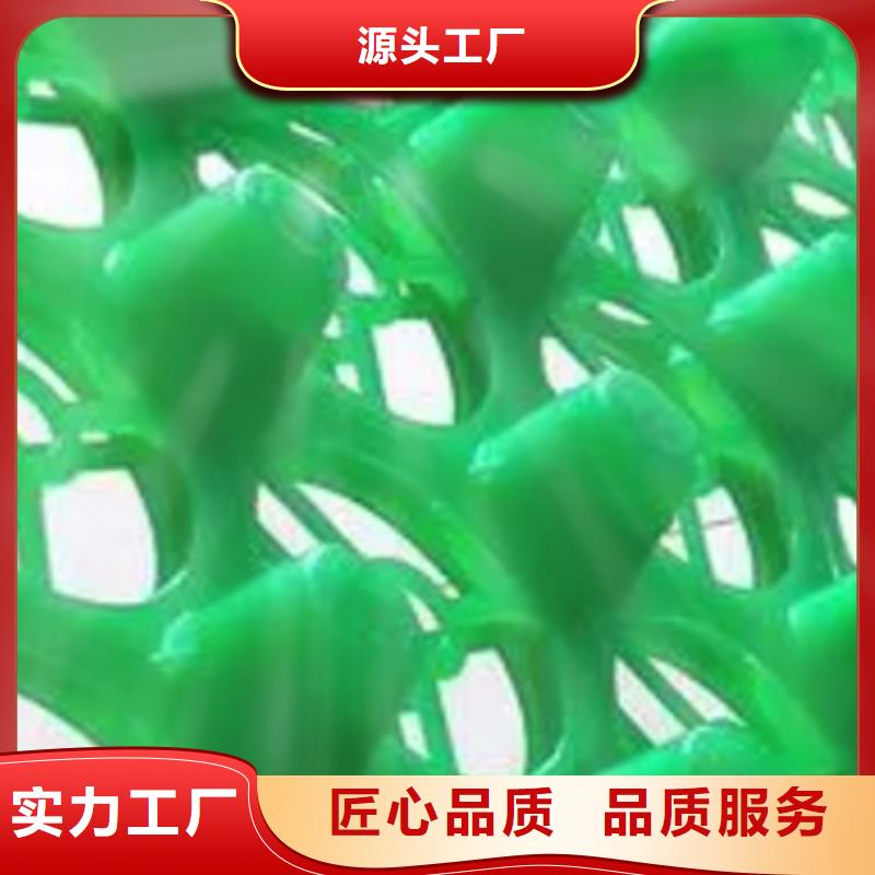 排水板
-高分子排水异形片厂家现货供应