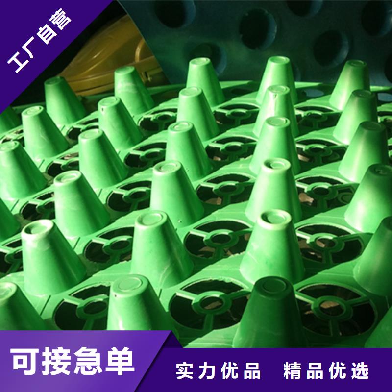 蓄排水板-虹吸排水收集系统厂家店本地经销商