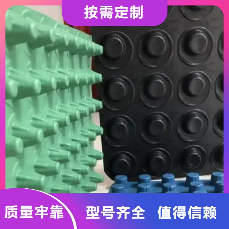 塑料排水板生产厂家精心打造