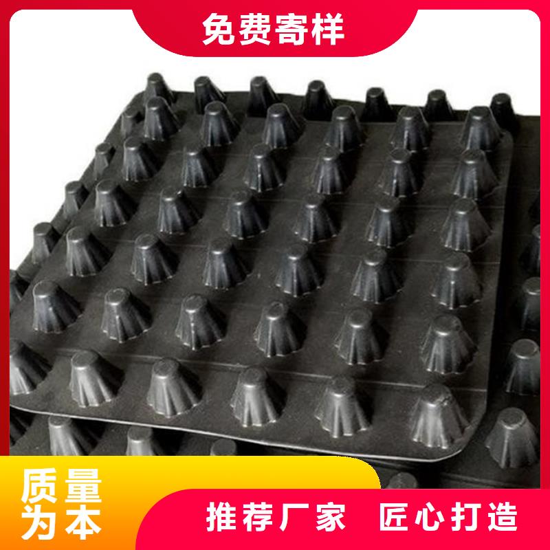 塑料排水板实业集团来图定制量大从优
