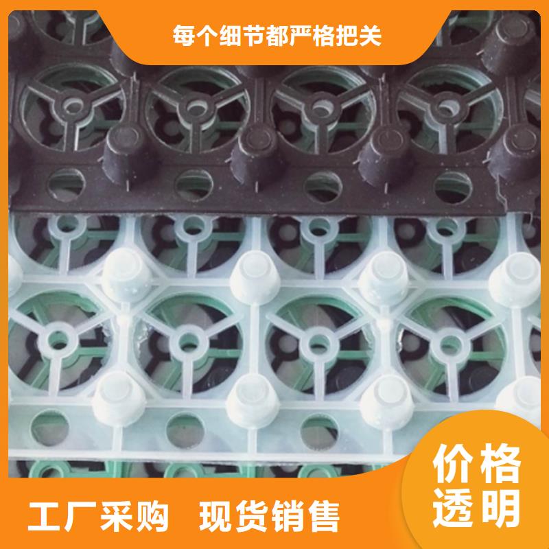 蓄排水板厂家代理商好产品放心购