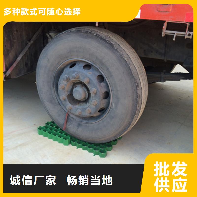 植草格厂家-本地工厂同城供应商